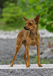 Similar image 320345