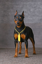 Similar image 320350