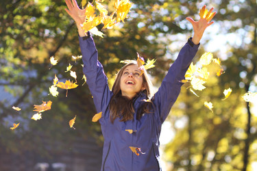 Similar image 320376