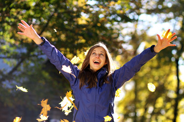 Similar image 320382