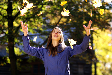 Similar image 320379