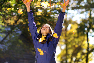 Similar image 320377