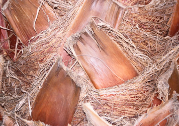 Similar image 320414