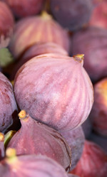 Similar image 320422