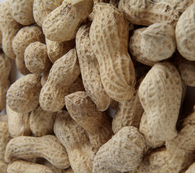 Similar image 320441