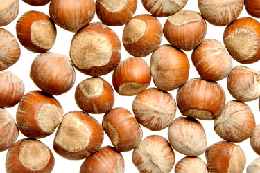 Similar image 320448