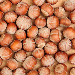 Similar image 320450