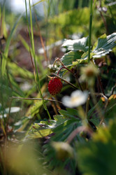 Similar image 320455