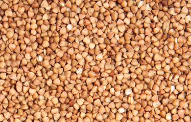 Similar image 320457