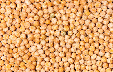 Similar image 320459