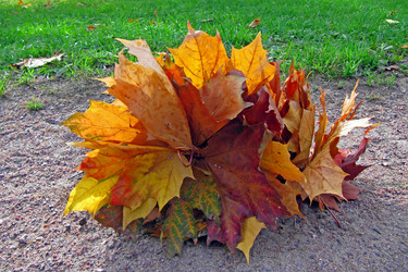 Similar image 320483