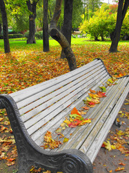 Similar image 320485