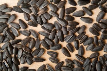 Similar image 320486