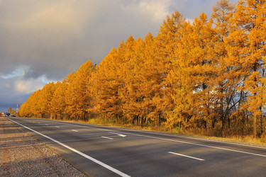 Similar image 320494