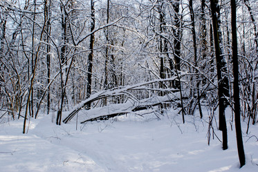 Similar image 320516