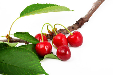 Similar image 320531