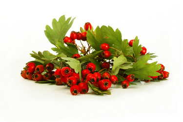 Similar image 320532