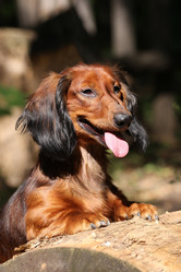 Similar image 320556