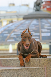 Similar image 320562