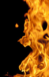 Similar image 320582