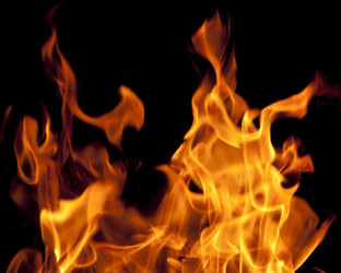 Similar image 320583