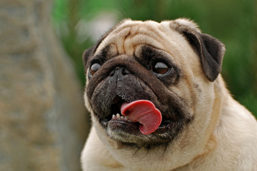 Similar image 320612