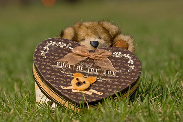 Similar image 320613