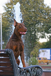 Similar image 320622