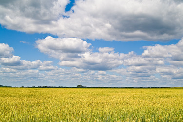 Similar image 320624