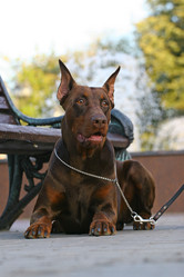 Similar image 320625