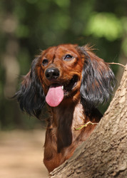 Similar image 320626