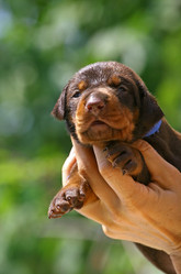 Similar image 320627