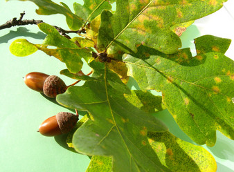 Similar image 320628