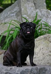 Similar image 320629