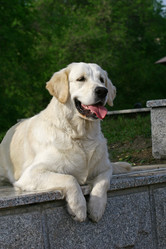 Similar image 320634