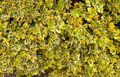 Similar image 320641