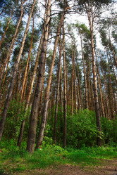 Similar image 320646