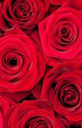 Similar image 320658