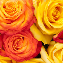 Similar image 320660