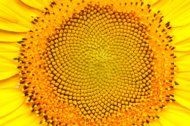 Similar image 320677