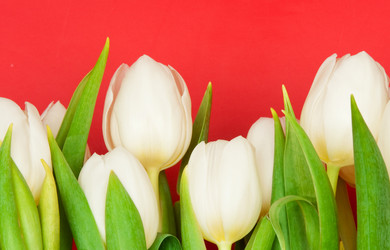 Similar image 320682