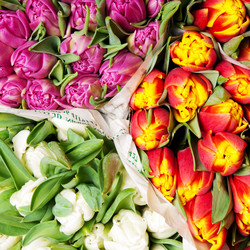 Similar image 320687