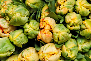 Similar image 320690