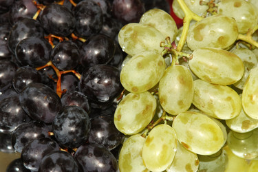 Similar image 320705