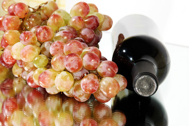 Similar image 320713