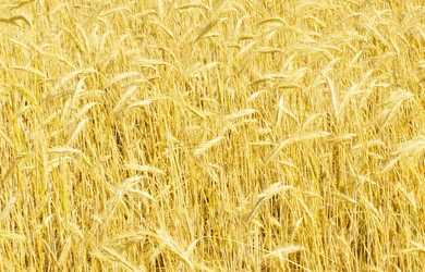 Similar image 320716