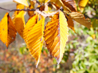 Similar image 320769