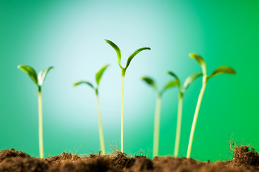 Similar image 320839