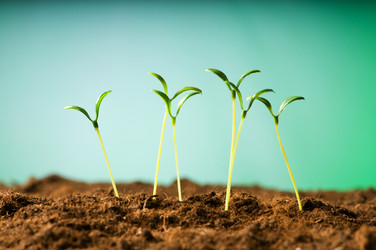 Similar image 320841