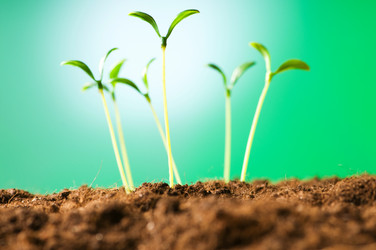 Similar image 320844